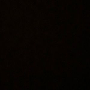 Meet your Posher, Isabella